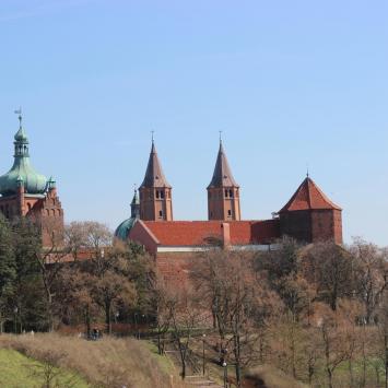 Poznajemy Płock - zdjęcie