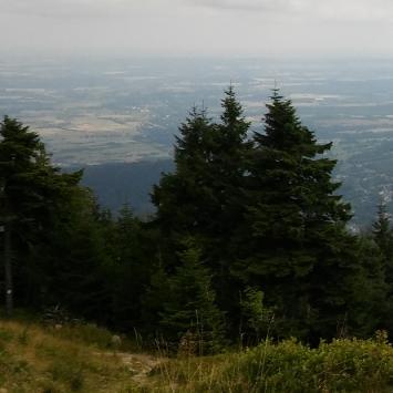 , mokunka