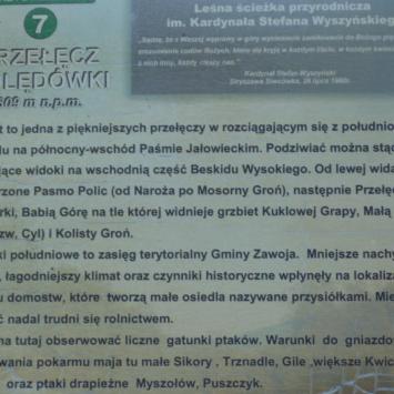na Przełęczy Kolędówki, Marcin M