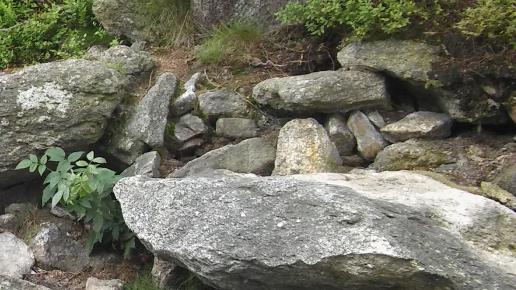 , mokunka