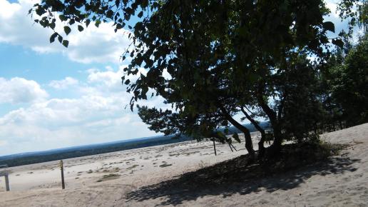 , mokunka