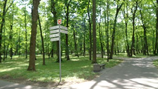 Park Zdrojowy, Danusia