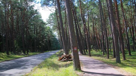 Droga do Rąbki