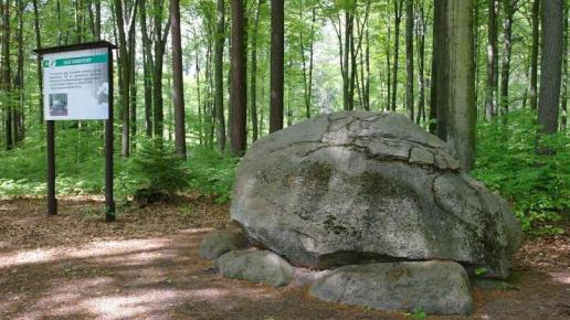 , mokunka