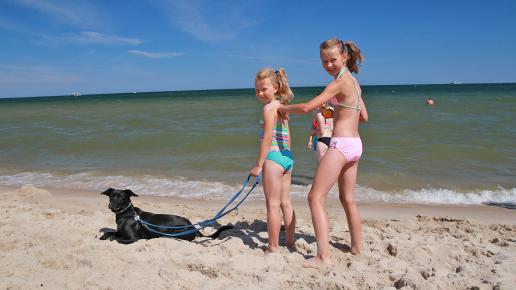 Władysławowo plaża