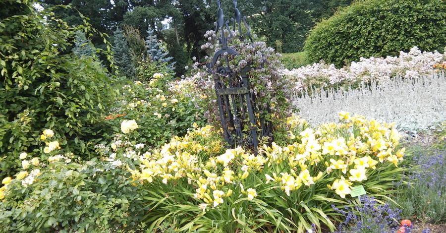 Arboretum i Georetum w Wojsławicach - zdjęcie