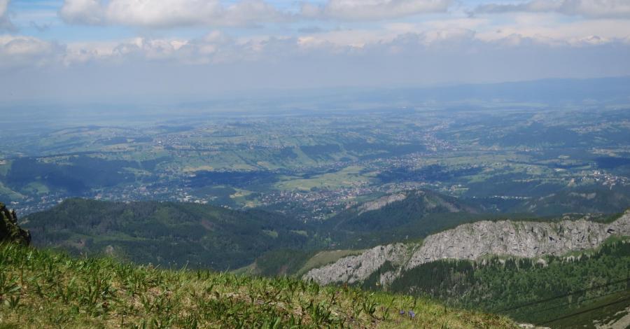 Bukowina lato - zdjęcie