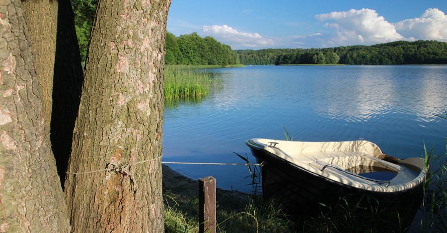 Kaszubskie Jezioro Ostrzyckie i Kościerzyna - zdjęcie