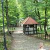 , mirosław
