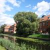 Nad Tugą - Nowy Dwór Gdański, allie