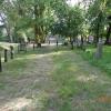 Witnica Park Miejski, Danusia