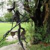Witnica Park Miejski- Strachy Polskich Drog, Danusia