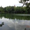 Jezioro Lubiąż, Danusia