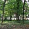 Nowy zamek, Danusia