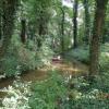 Park Miłości, Danusia