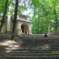 , mirosław