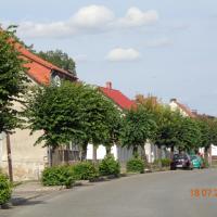 Witnica, Danusia