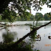 Jezioro Lubiąż, Danusia