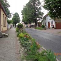 Lubniewice, Danusia