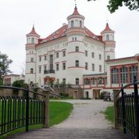 Pałac w Wojanowie, Anja