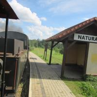 , marian