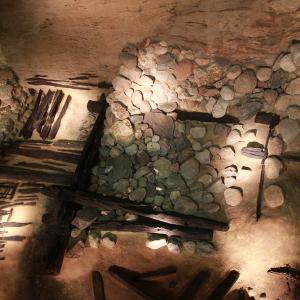 Rezerwat Archeologiczny Genius Loci w Poznaniu