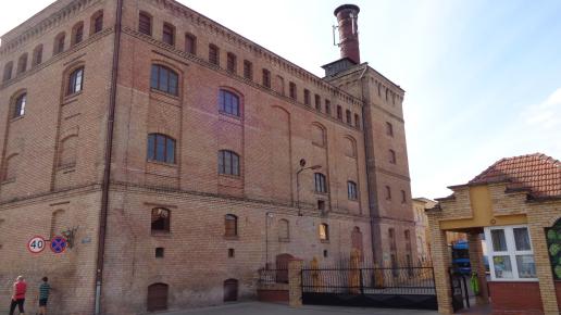 Witnica Browar, Danusia