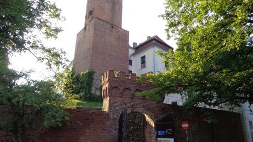 zamek joannitów, Danusia