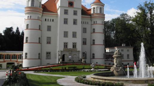 Wojanów , mokunka