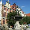 , mirosław