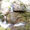 , mokunka