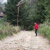 na szlaku z przełęczy Wyżniańskiej do bacówki pod Małą Rawką, marian
