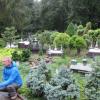 Park miniatur, marian