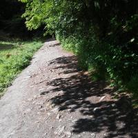 , mokunka
