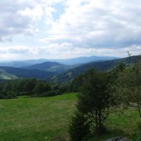 , Piotr Galas