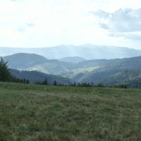, Piotr Galas