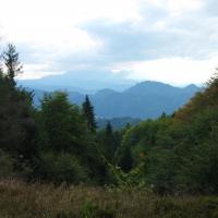, Piotr Galas