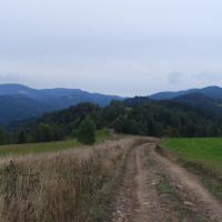 , Piotr Galas