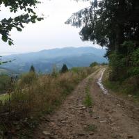 , Piotr Galas
