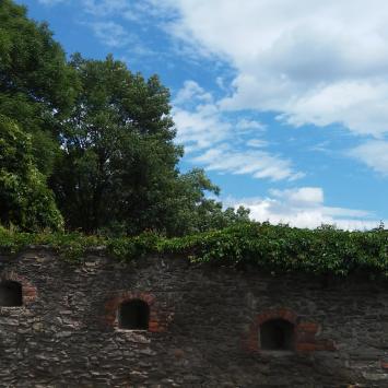 , mokunka