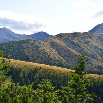widok spod Grzesia, Maciej A