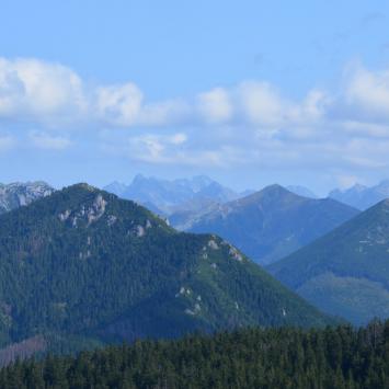 Pod Osobitą, widok aż po Tatry Wysokie, Maciej A