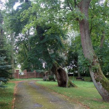 Park przypałacowy, allie