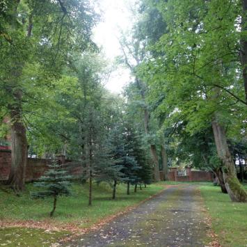 Park przypałacowy, allie