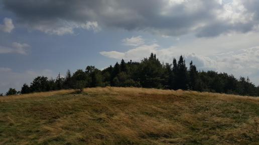Polana pod szczytem, EmiZtg