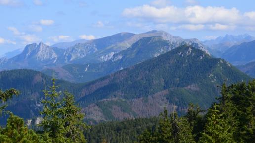 Pod Osobitą, widok na Giewont, Czerwone Wierchy, Kominiarski i Bobrowiec, Maciej A