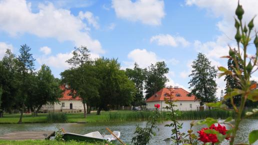 Staw na terenie parku w Dąbrowie , Cezary