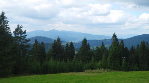, Piotr Galas
