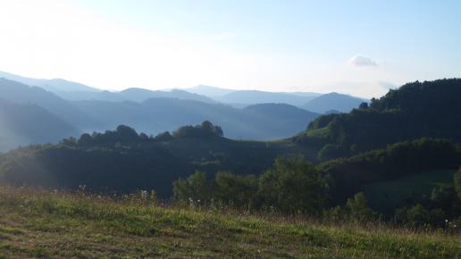 , Piotr Galas