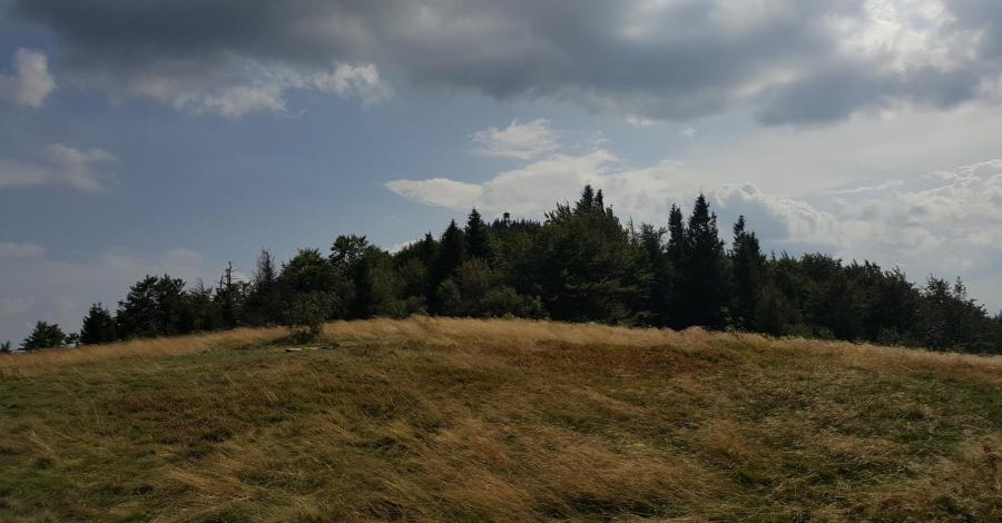 Mogielica - zdjęcie